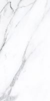 Prestigio Statuario Soft 24 x 48